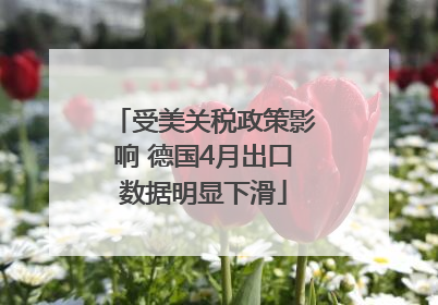 受美关税政策影响 德国4月出口数据明显下滑